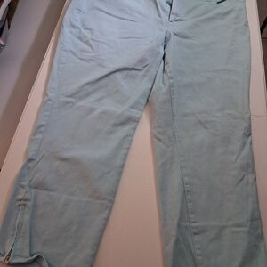 Talbots Sky Blue Cropped Pants Size 18